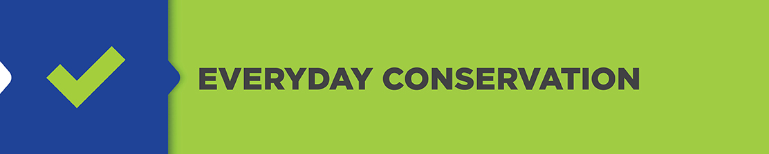 Normal Everyday Conservation
